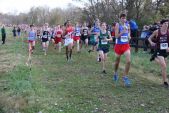 David Schneider and other runners racing 5K