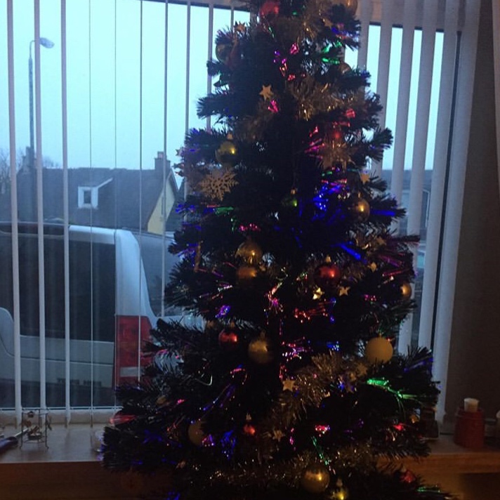 Student+Stephanie+Faulkers+Christmas+tree.