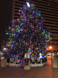 Lexington, Ky. A Lafayette student in front of the  downtown Lexington Christmas tree.