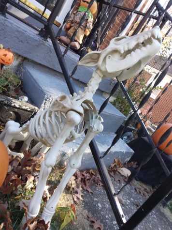 Lexington, KY- A Halloween porch decoration will greet trick-or-treaters on October 31st.