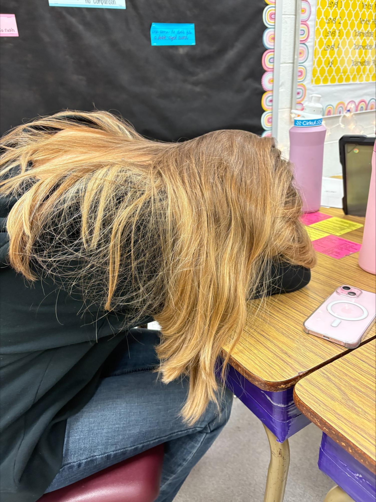 Sophomore Lafayette High School Student, Holly Schoeder, falls asleep during SAT prep from lack of sleep outside of school hours at 10:28 A.M. on March 4th.